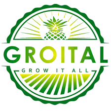 Groital